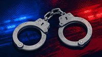 Nearly 70 dead cats found in Texas home leads to 2 arrests, police say