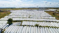 Wind turbine company must start cleanup process at Texas facilities, court says