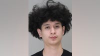 Affidavit: Man charged in fatal Pleasant Grove hit-and-run after incriminating texts