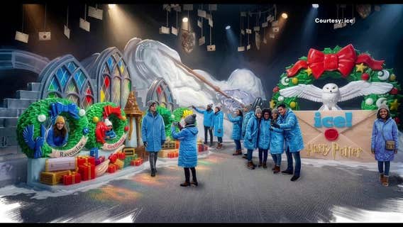 Gaylord Texan’s 2026 ice! exhibit to feature Harry Potter