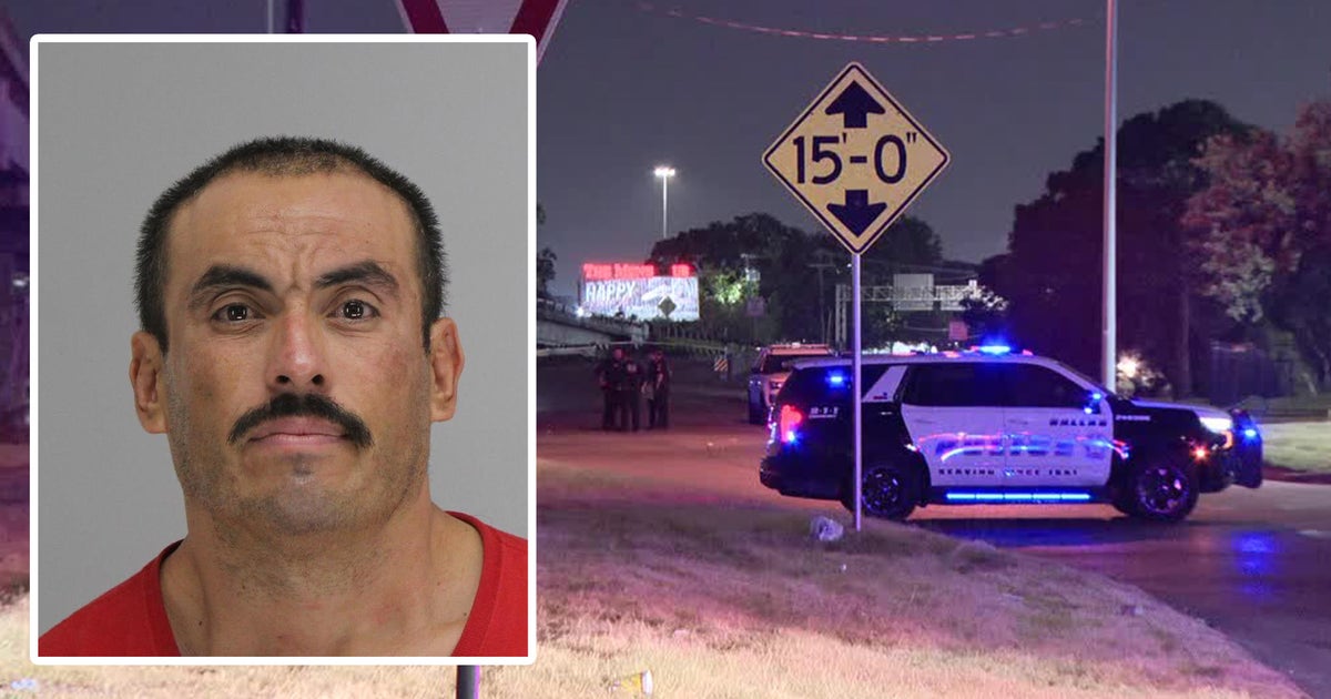 Suspect used metal rake to critically injure Dallas security guard: police