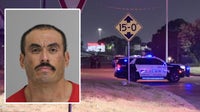 Suspect used metal rake to critically injure Dallas security guard: police