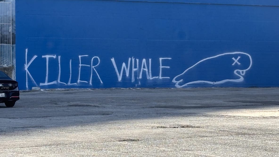 Dallas Whaling Wall has new whale artwork