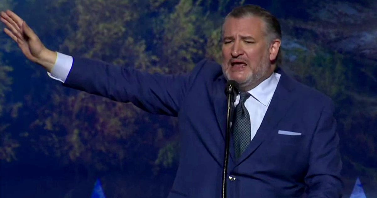 Cruz calls on Republicans to ‘save America’ during convention speech