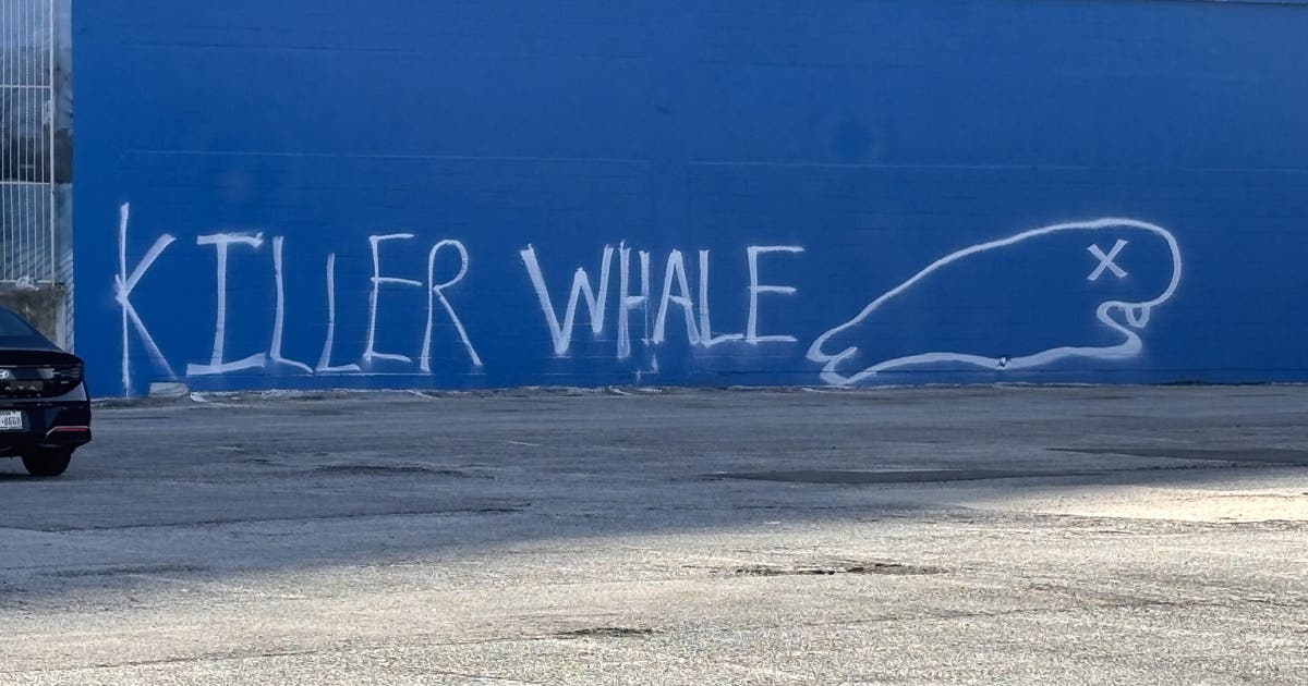 Dallas Whaling Wall has new whale artwork