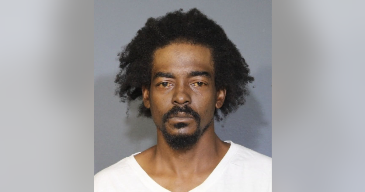 Tesla driver arrested for Duncanville road rage shooting