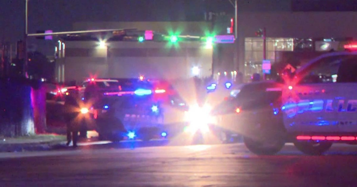 Pedestrian severely injured after being struck by Dallas Police patrol car near Love Field