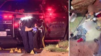 Man shot four times while walking dog in Dallas, police say