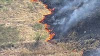 Grass fires burn along highways in Dallas and Denton counties