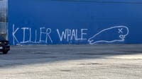 Dallas Whaling Wall has new whale artwork
