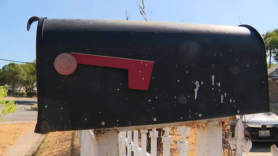 Missing mail seen in viral video sparks federal investigation