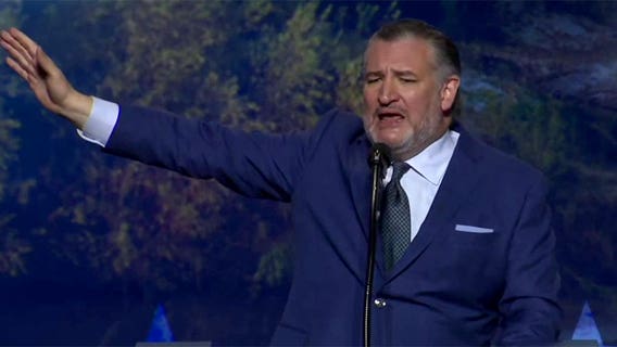 Cruz calls on Republicans to ‘save America’ during convention speech