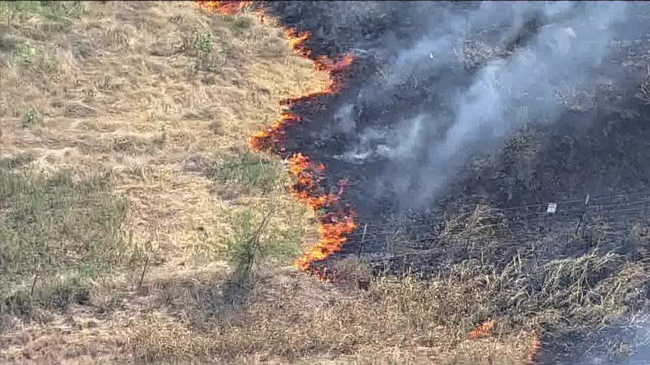 Grass fires burn along highways in Dallas and Denton counties — FOX 4 Dallas