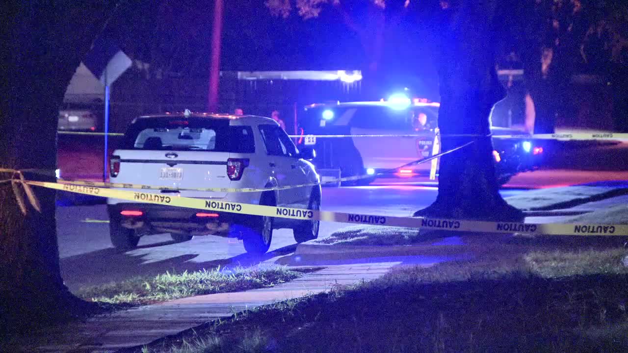 Teen found shot dead in alley behind Plano home