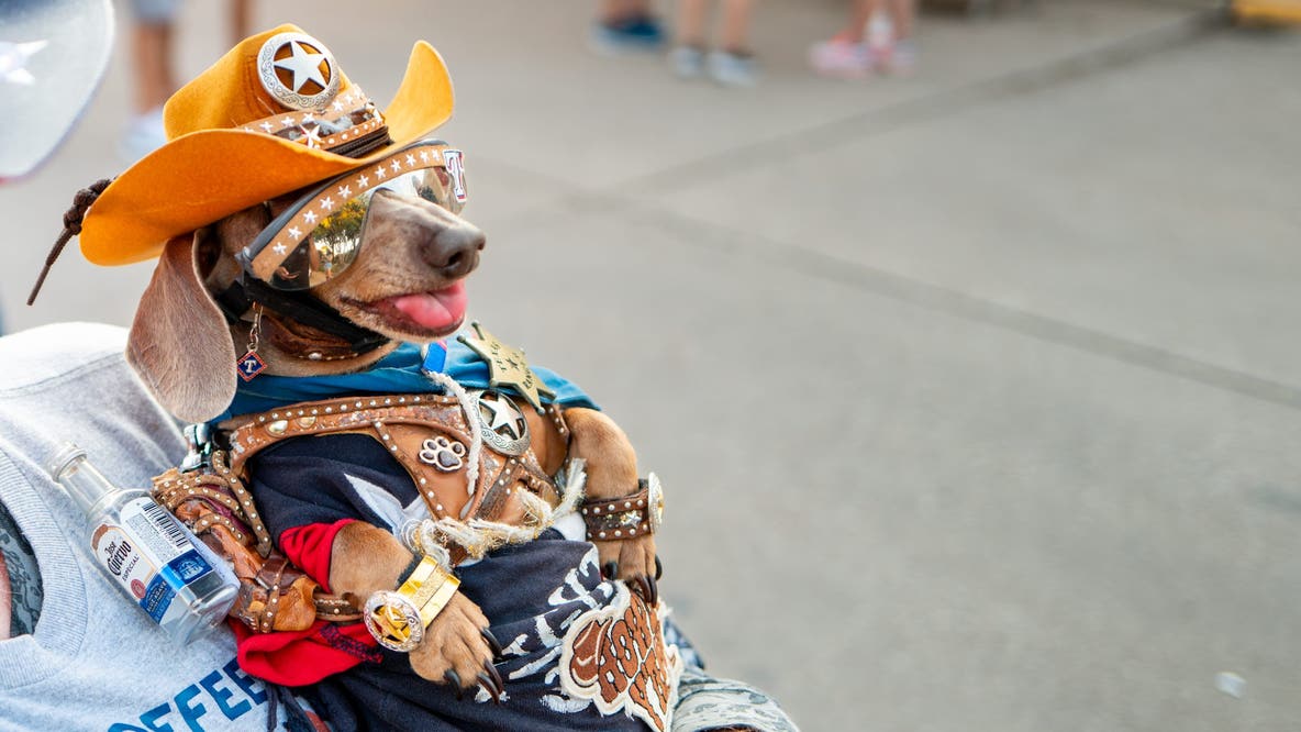 Dallas’ top dog and cat names for 2026 have been revealed