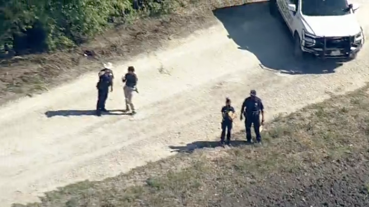 Woman’s remains found along road in Alvarado, deputies say