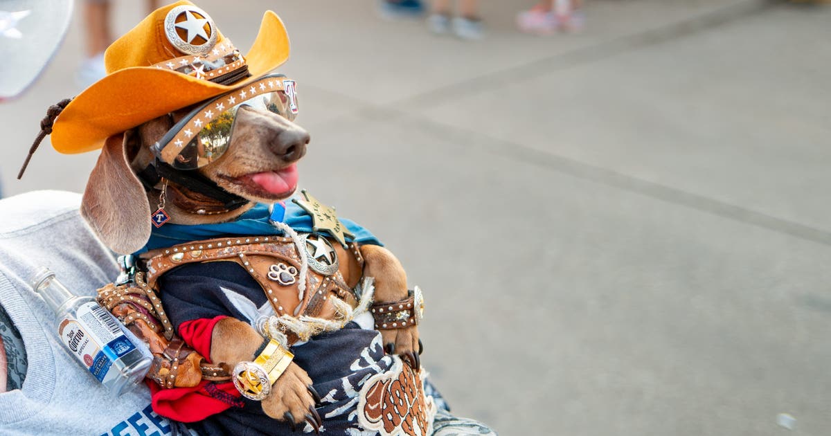 Dallas' top dog and cat names for 2026 have been revealed