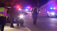 Dallas police investigate early morning pedestrian crash on South R.L. Thornton Freeway