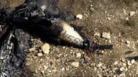 NTSB reveals flight data for deadly 1-minute flight near Haslet