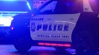 Pedestrian fatally hit along East Northwest Highway