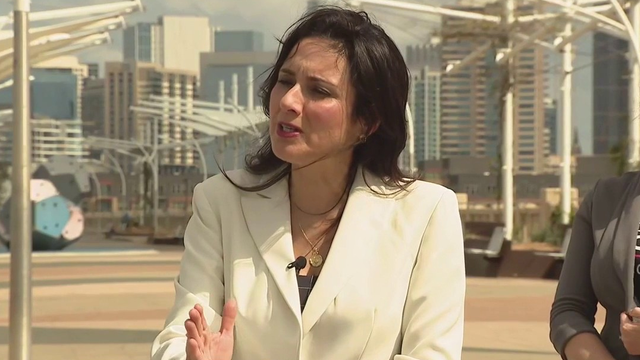 'People are big mad in Texas': Hinojosa challenges Abbott's data center policies