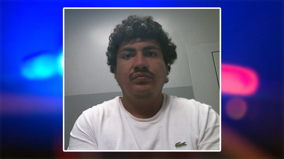 Suspect accused of stealing car with child inside arrested with help of Flock camera system — FOX 4 Dallas