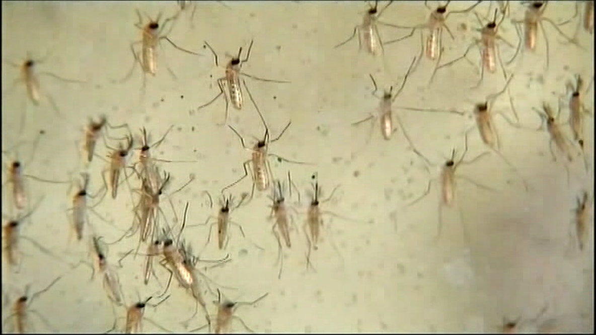 South Fulton West Nile Virus: Welcome All Park spraying begins