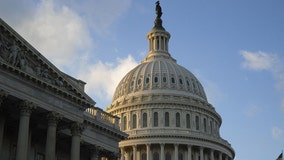 7 vie to fill remainder of John Lewis’ congressional term