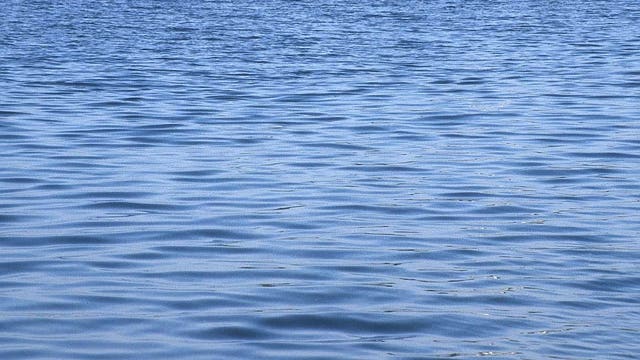 Human waste dumped near Pope's Ferry Landing in Monroe County
