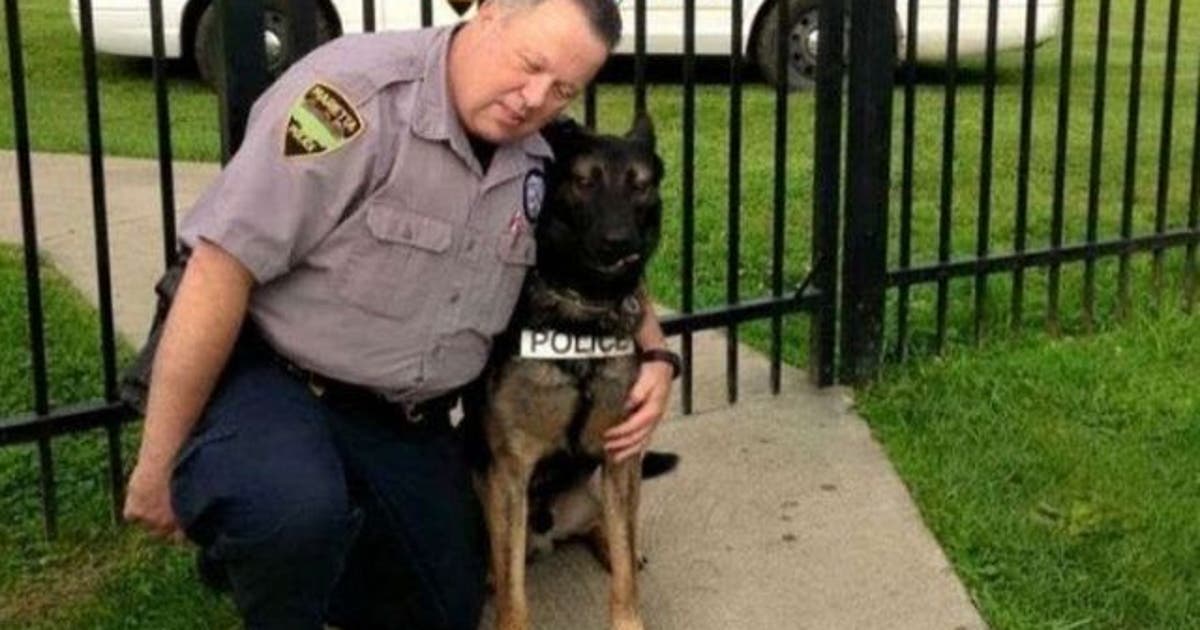 Retired police officer gets to buy K-9 partner for $1 | FOX 5 Atlanta