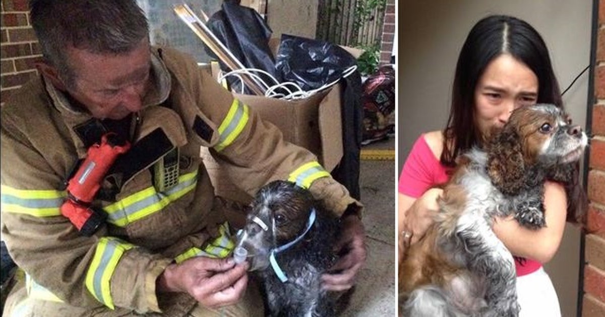 Lucky Dog Saved From Fire | FOX 5 Atlanta