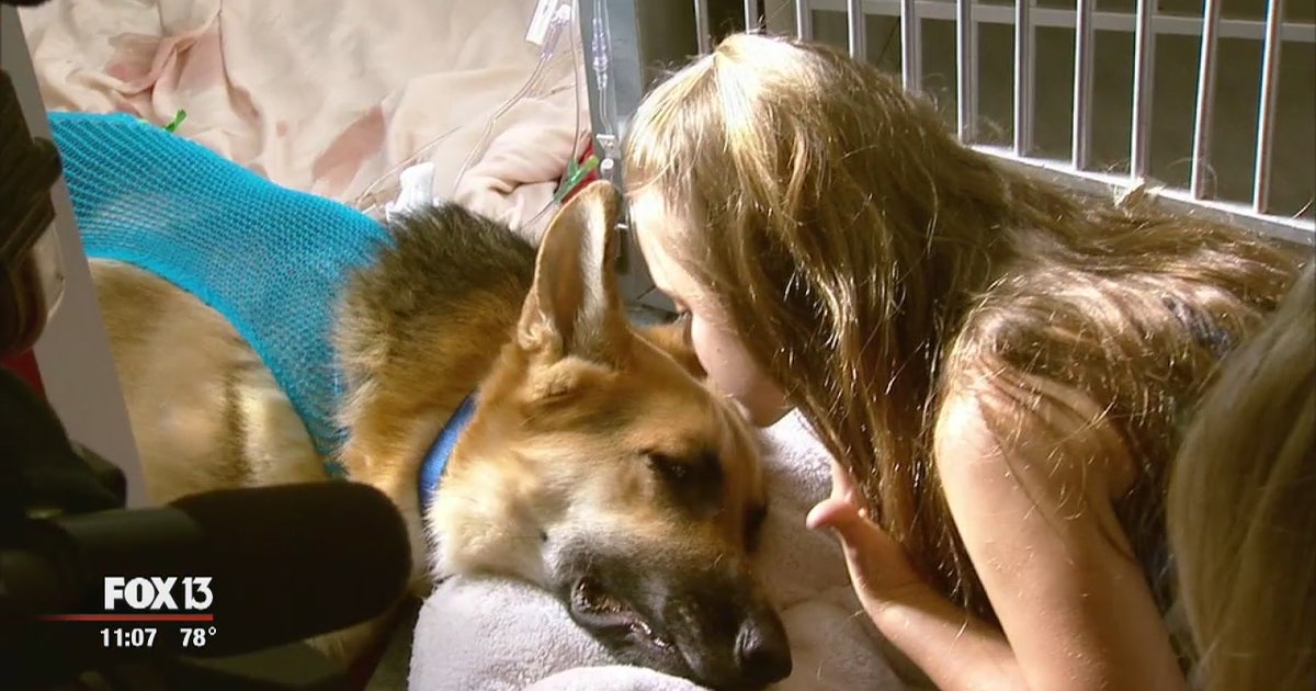 World rallies behind hero dog who saved girl from snake | FOX 5 Atlanta