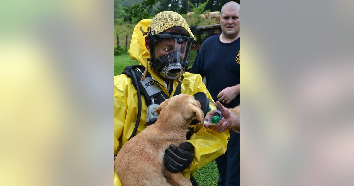 Fire crew rescues stranded puppy | FOX 5 Atlanta