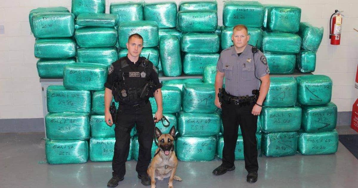 Sheriff's deputies seize over 2,000 pounds of marijuana | FOX 5 Atlanta