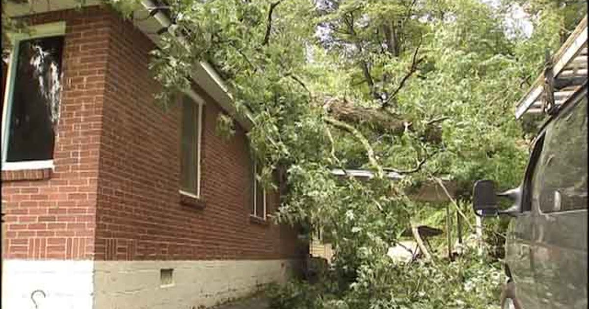 Tree falls on grandmother's house while she fries chicken | FOX 5 Atlanta