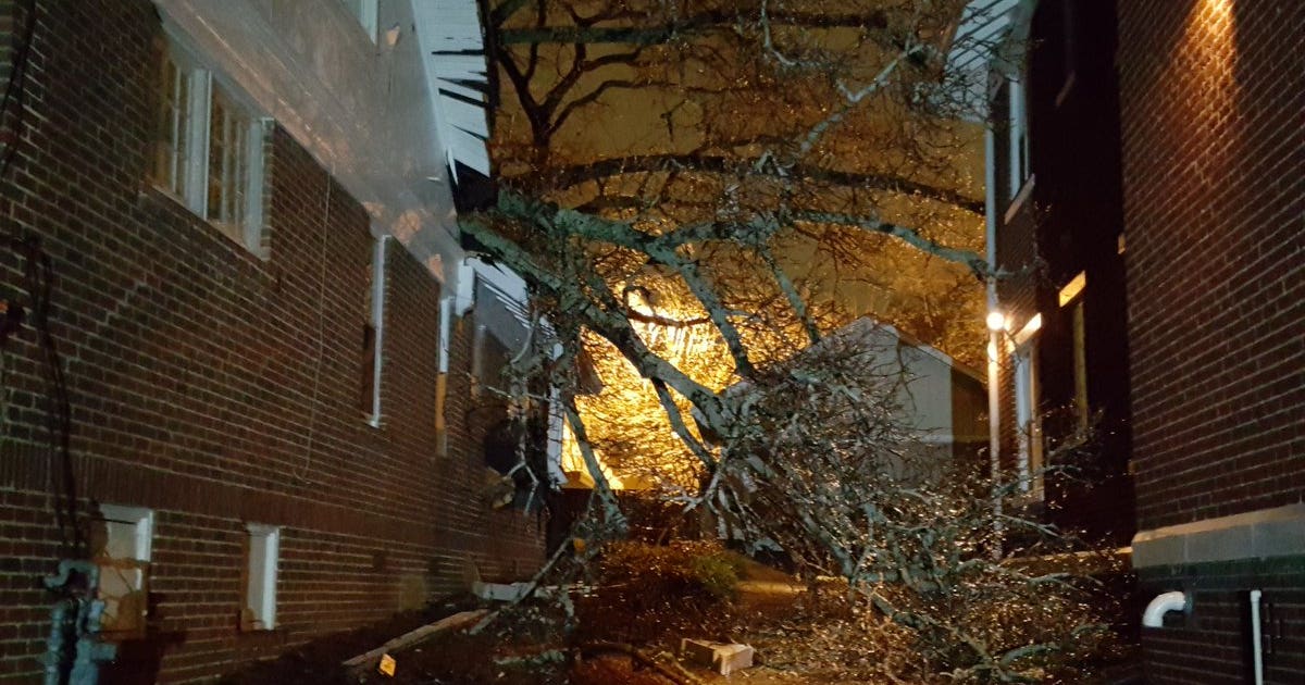 Firefighters rescue 3-year-old trapped by fallen tree | FOX 5 Atlanta