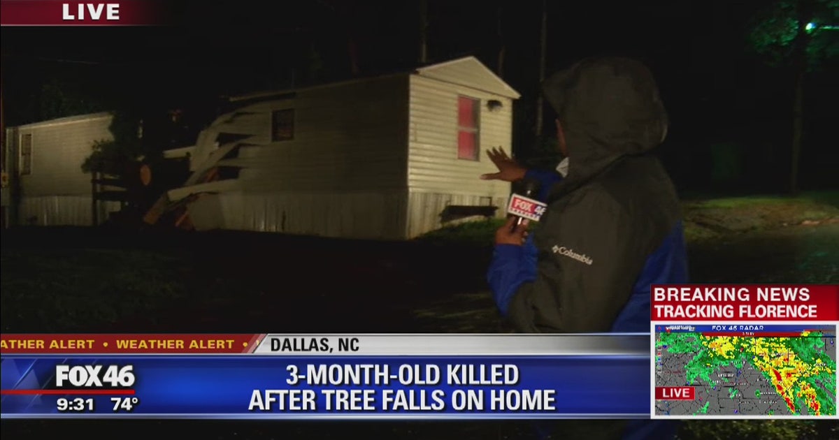 3-month-old killed by fallen tree in Gaston County | FOX 5 Atlanta