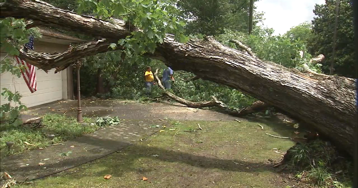 Storms tear through northwest Georgia leaving damage | FOX 5 Atlanta