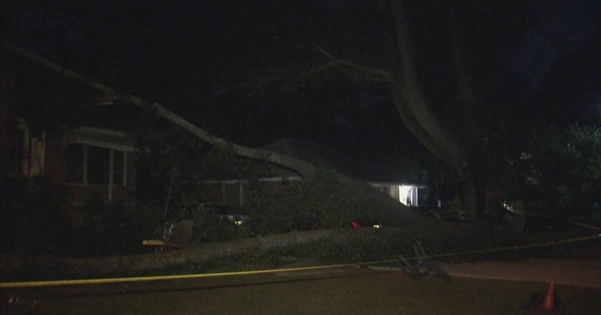 Two Forest Park women trapped by fallen tree | FOX 5 Atlanta
