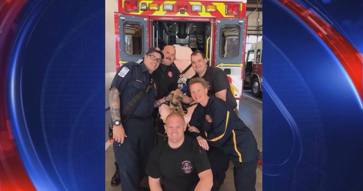 Georgia firefighters save choking dog | FOX 5 Atlanta