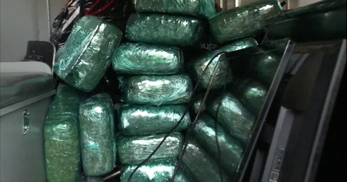 Atlanta police seize more than 200 pounds of pot | FOX 5 Atlanta