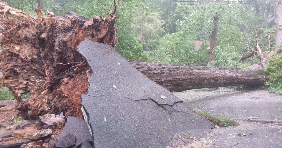 Strong storms leave damage, knock out power in metro Atlanta | FOX 5 ...