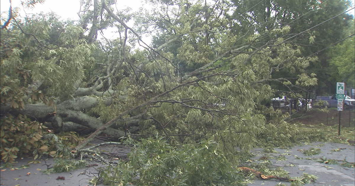 Severe storms rumble through metro Atlanta | FOX 5 Atlanta