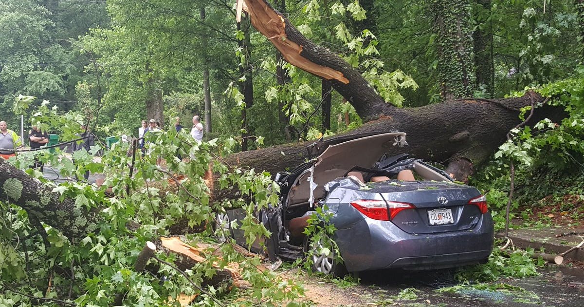 DeKalb County firefighters rescue driver crushed by fallen tree | FOX 5 ...