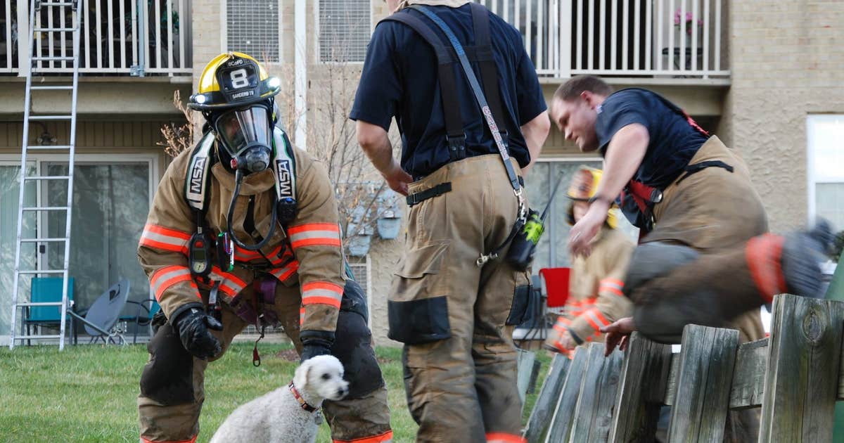Puppy smiles while being rescued from burning building | FOX 5 Atlanta