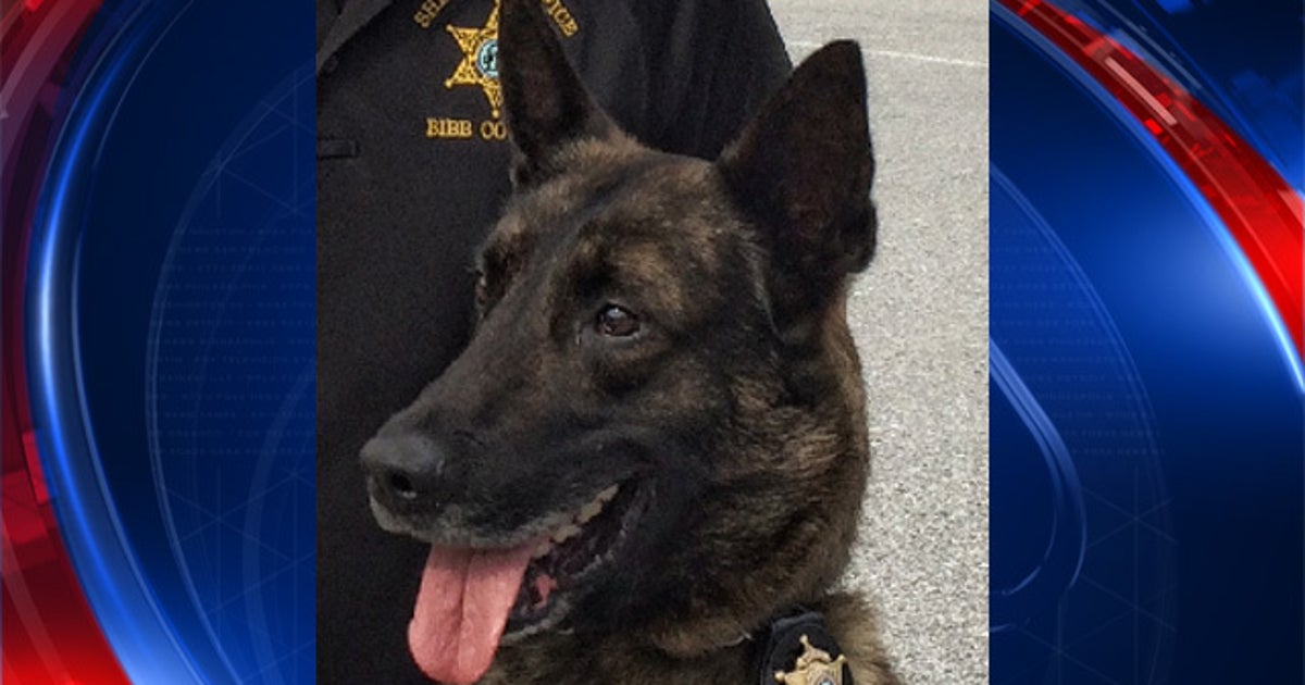 Bibb police mourn death of K-9 officer | FOX 5 Atlanta