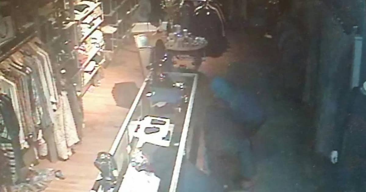 Virginia Highland Targeted by Smash-and-Grab Thieves | FOX 5 Atlanta