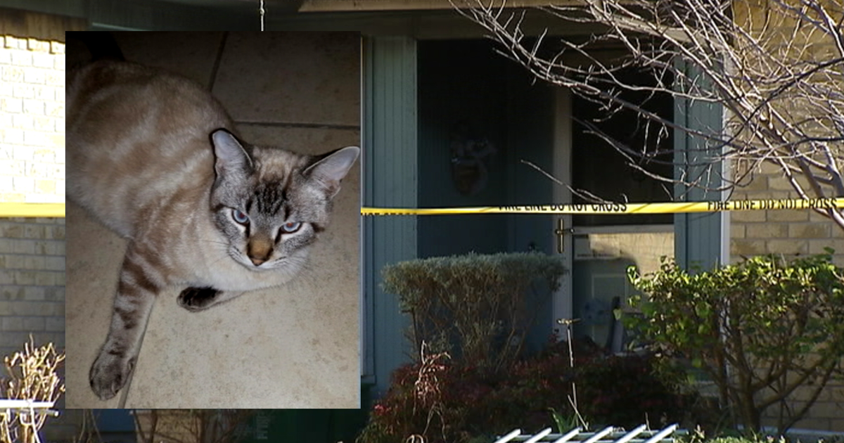 ‘Angel' the cat saves owner before dying in house fire | FOX 5 Atlanta