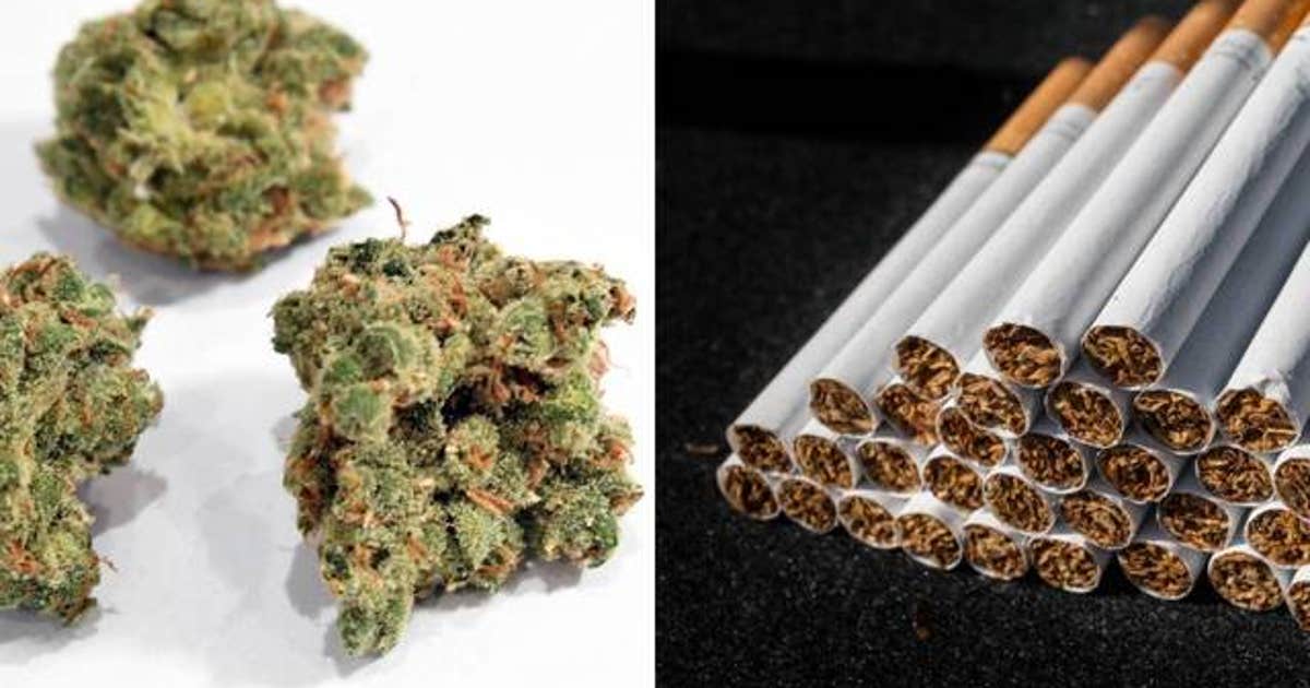 Smoking pot vs. tobacco: What science says about lighting up