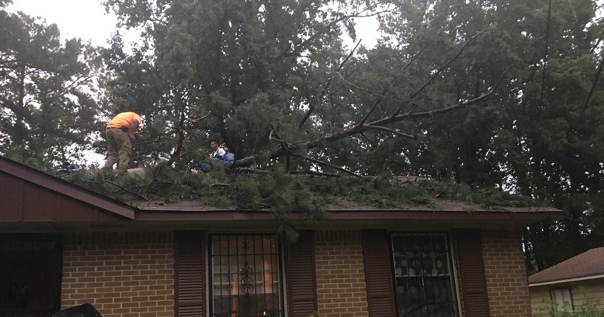 Tree falls on Riverdale home | FOX 5 Atlanta